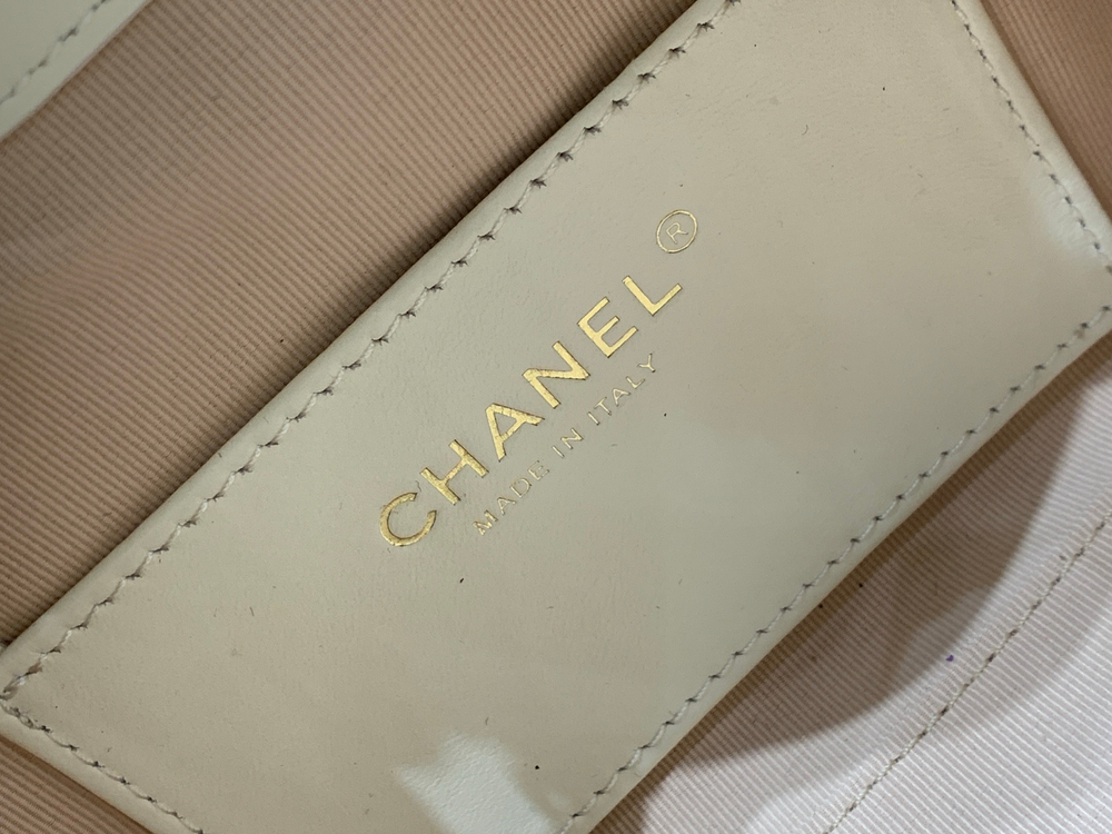 Chanel 25 Mini Handbag 22 cm