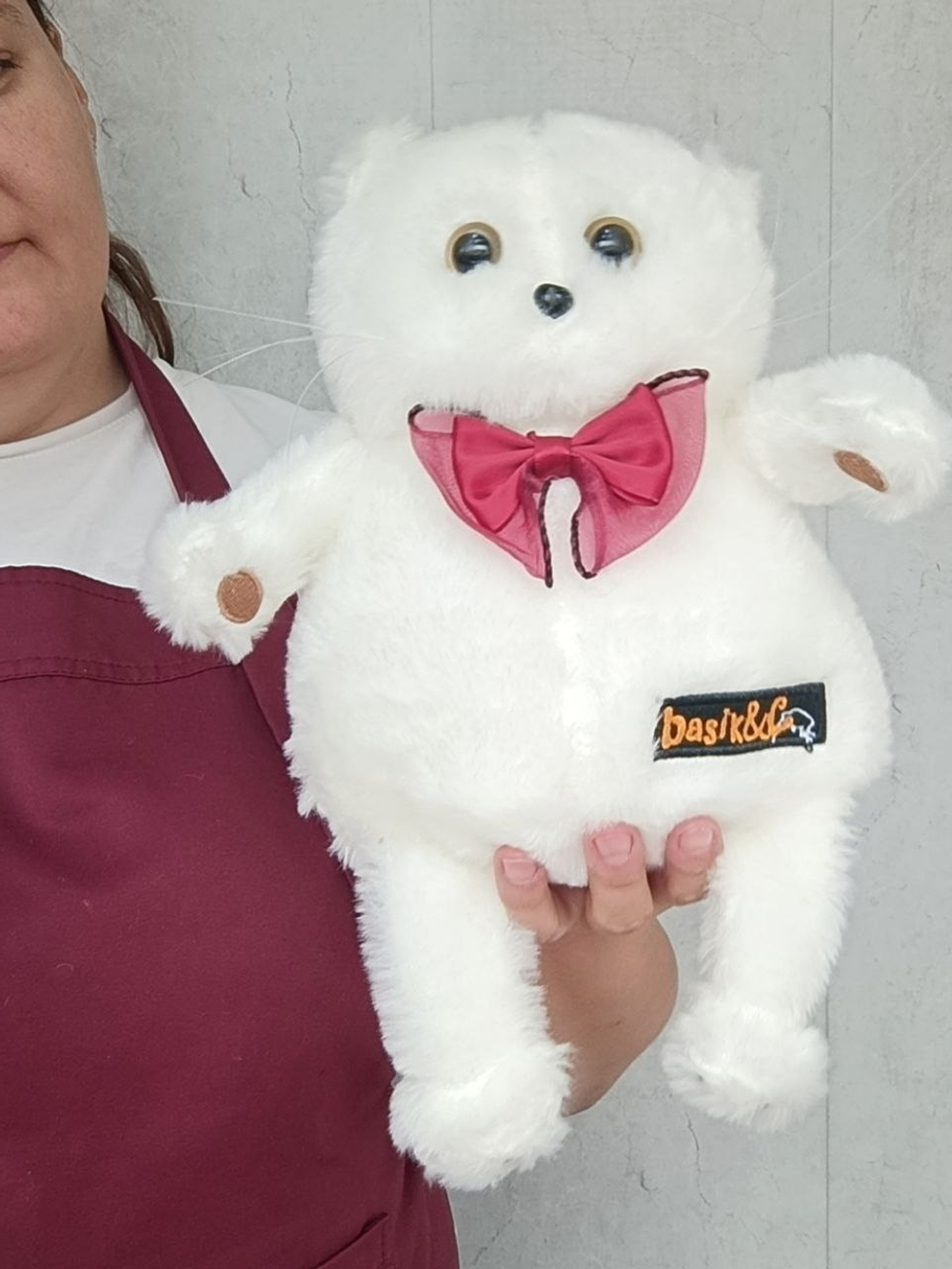 Кот Басик