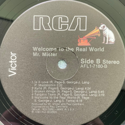 Виниловая пластинка Mr. Mister ‎– Welcome To The Real World LP