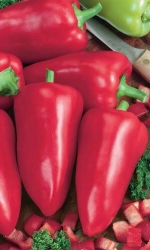 Семена Перец сладкий Винни-Пух (Марс) Б/П