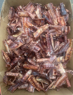 Трахея говяжья (сушеное лакомство) (цена за 100гр)