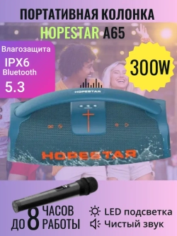 Портативная колонка Hopestar A65, 300Вт