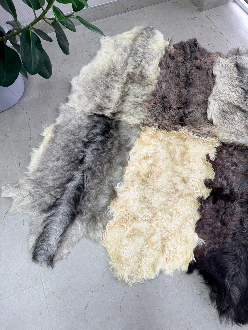 Ковер шкура козья Меховой