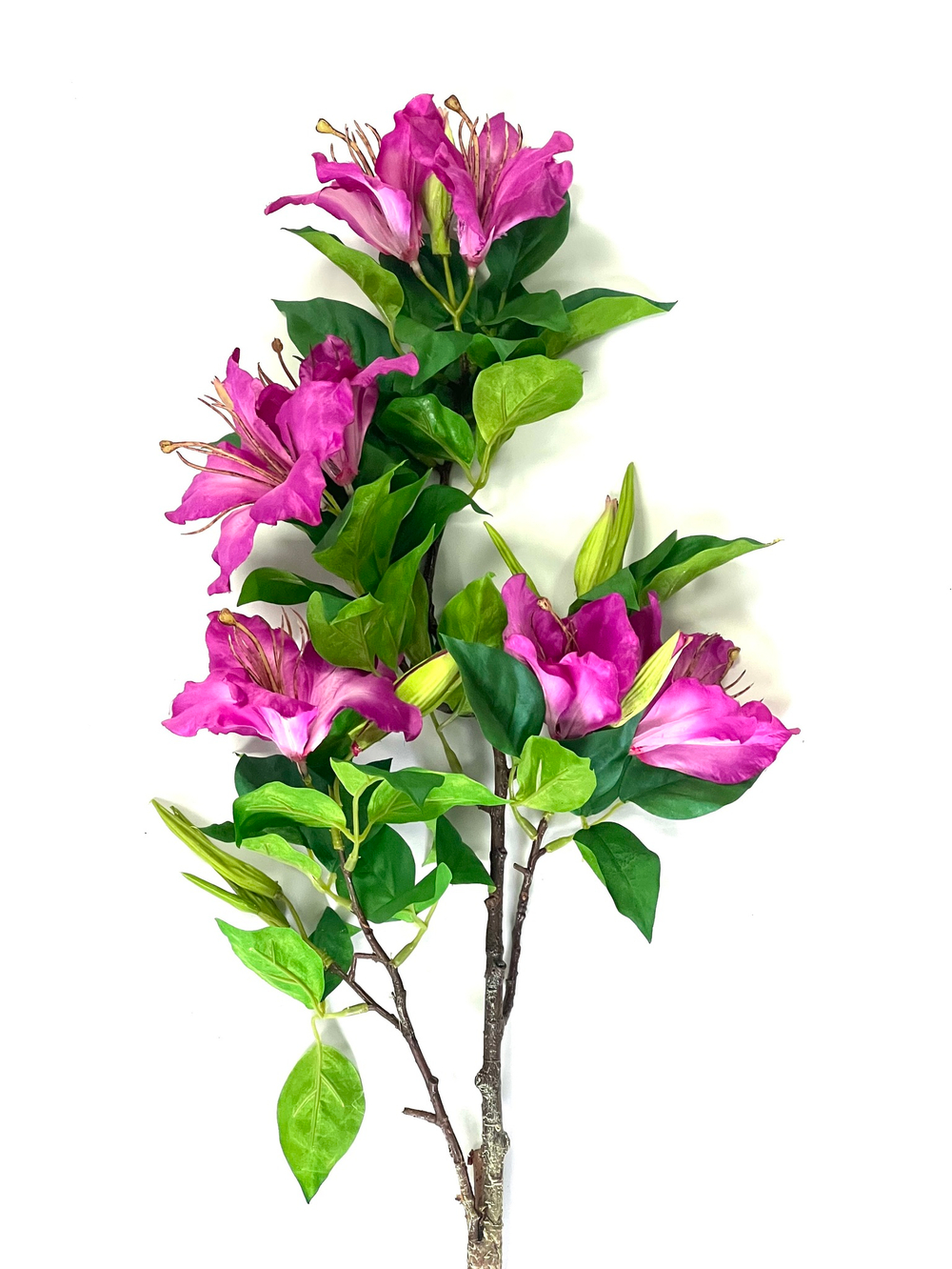 Альстромерия фуксия