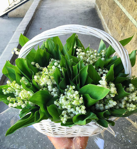 Белоснежная корзина с ароматными ландышами "White Queen"