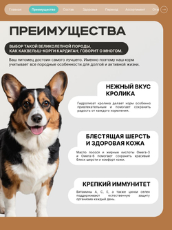 Корм для взрослых собак породы Вельш-корги кардиган, с кроликом, 12 кг, QUATTRO