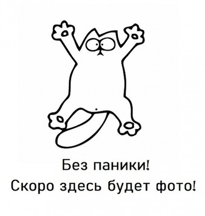 Дверь-купе ARISTO Slim Line, зеркало, профиль белый глянец