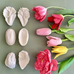 Набор вайнеров для разных лепестков тюльпана (3 шт)