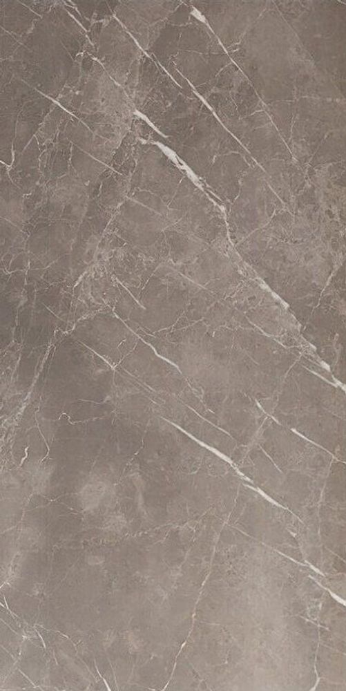 Pamesa Piave Argent 45x90