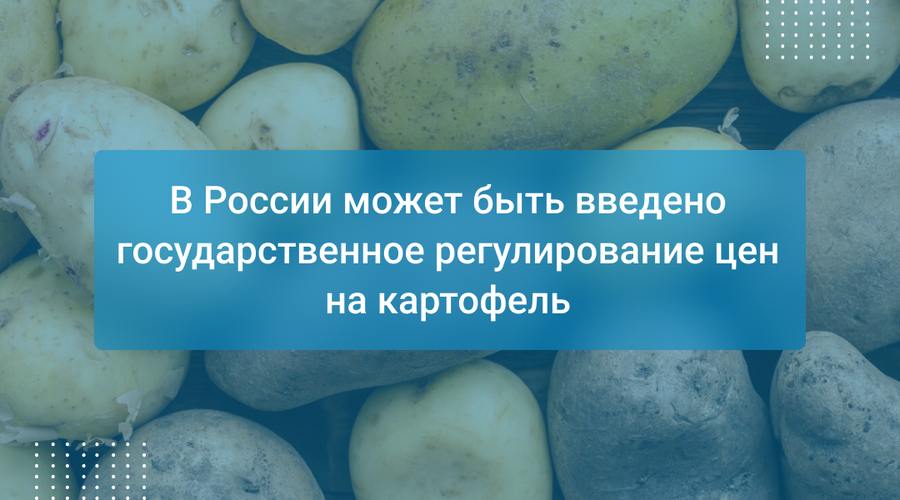 В России может быть введено государственное регулирование цен на картофель