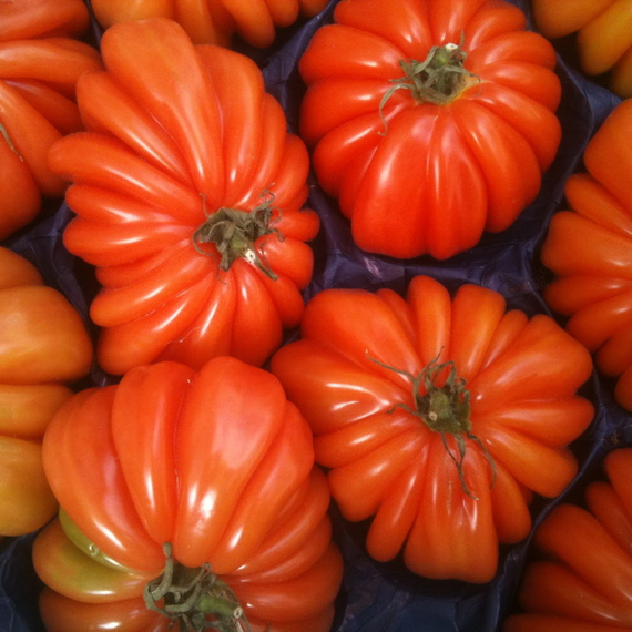 Ругантино F1 семена томата индетерминантного (Rijk Zwaan / Райк Цваан) плод – фото 5