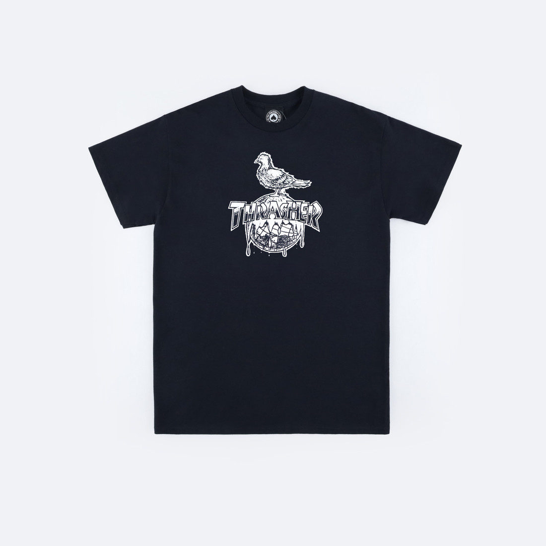 Купить Футболка Thrasher Cover The Earth T-Shirt (black)