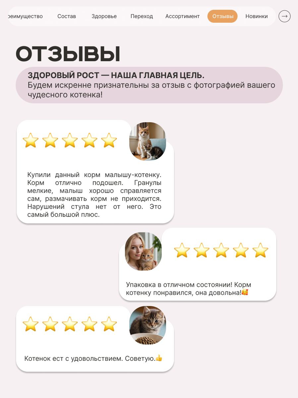Корм сухой для котят породы Сфинкс, с индейкой, 400 гр, QUATTRO