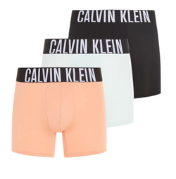 Мужские спортивные боксеры Calvin Klein Intense Power Boxer Briefs 3P - разноцветный