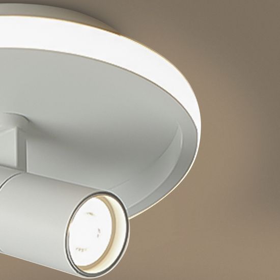 Потолочный светильник Freya FR6040CL-L14W