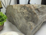 Раковина из окаменелого дерева Fossil Basin OD-60406 48*36*15