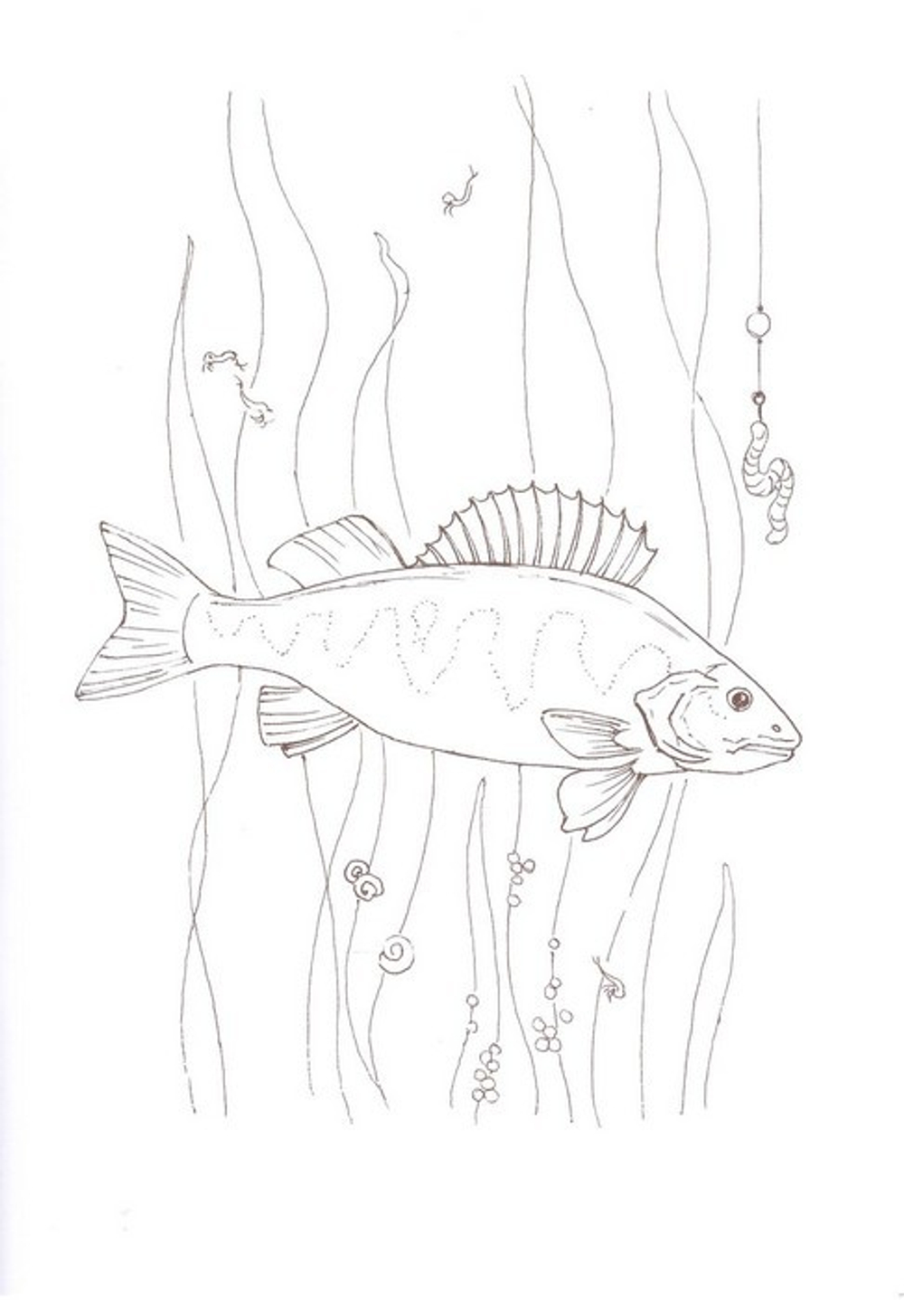 Альбом для раскрашивания полноцветный. Раскраски