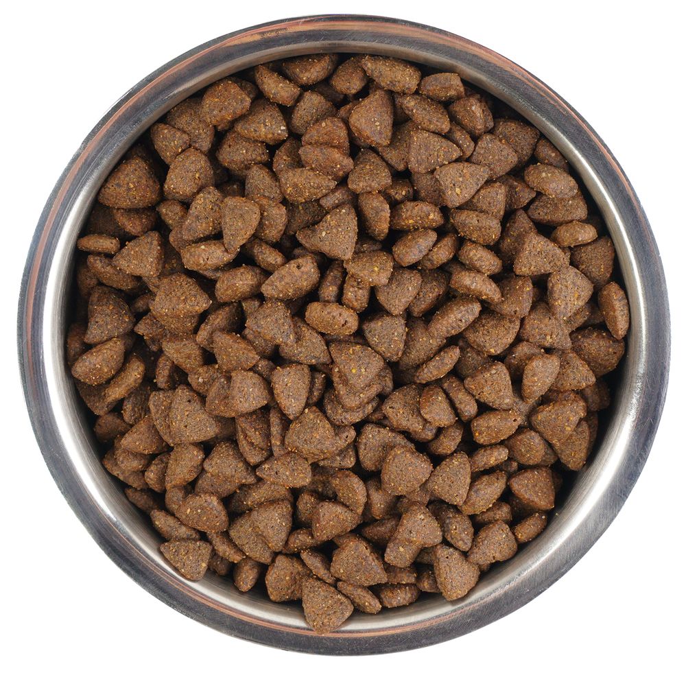 Сухой корм Monge Dog Daily Line Medium для пожилых собак средних пород, из курицы