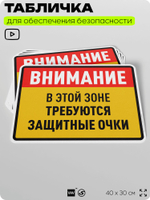 Табличка для обеспечения безопасности "В этой зоне требуются защитные очки", для производства, предприятия, организаций, 40х30 см, Silver Plane x Айдентика Технолоджи