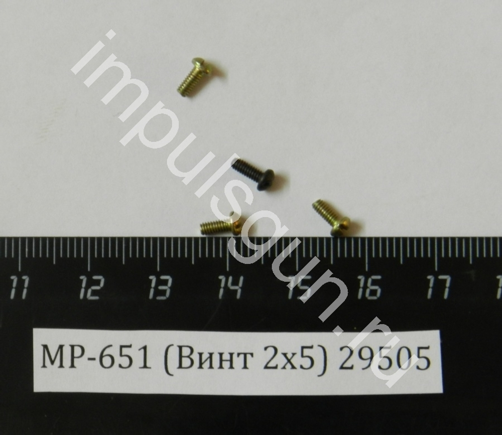 МР-651 (Винт 2х5) 29505