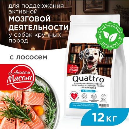Корм сухой для взрослых собак крупных пород, премиум полнорационный комплекс, для поддержания активной мозговой деятельности, с лососем, 12 кг, QUATTRO