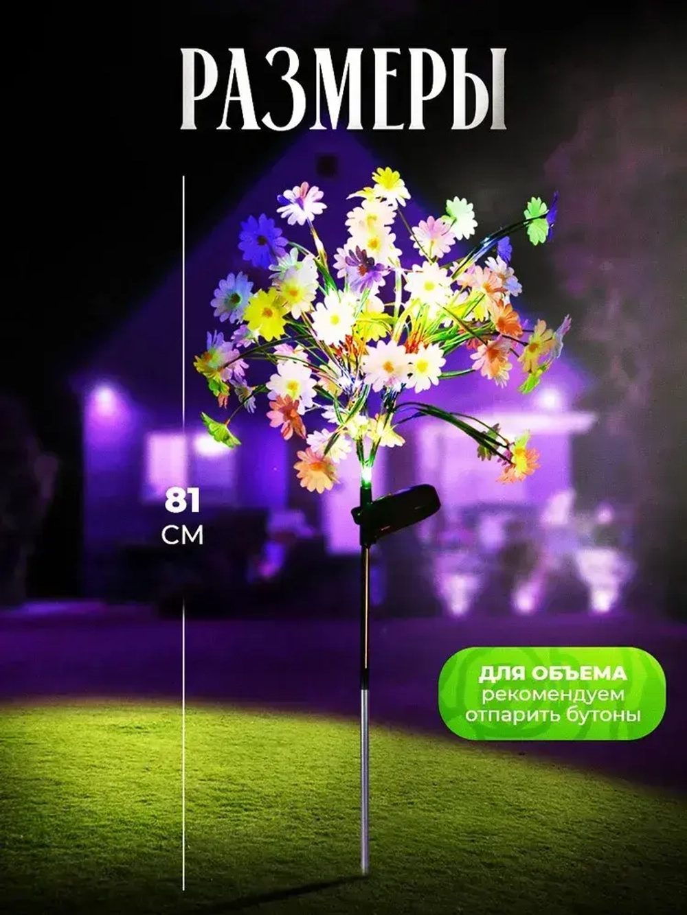 Садовые ромашки на солнечной батарее