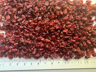 Д0004 Барбарис, плоды