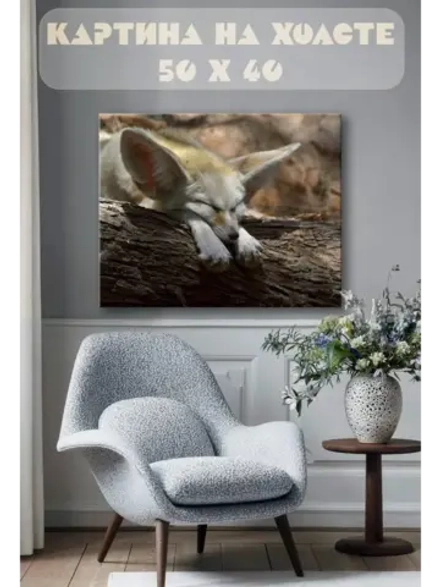 Картина на стену 40 X 50 Лиса фенек