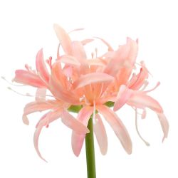 GAEM Цветы искусственные "Букет", L11 W11 H52 см