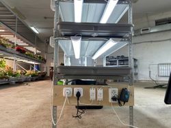 Гидропонная установка "Настенька"