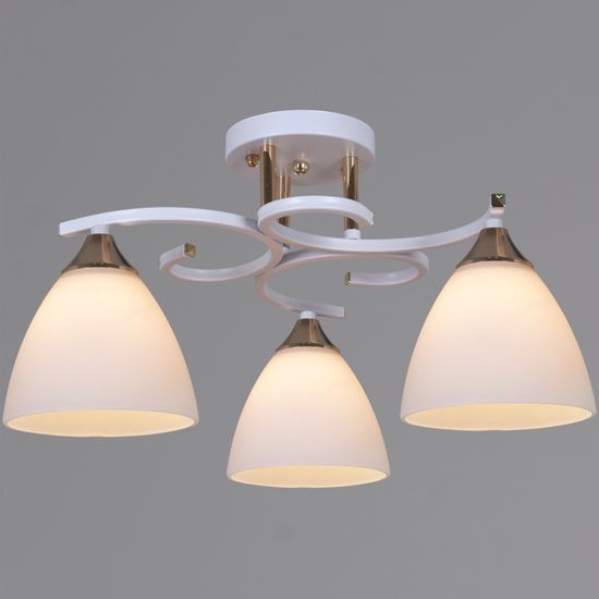 05009-0.3-03 WH+FG светильник потолочный