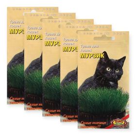 Семена Трава для кошек Мурзик, смесь, набор 5 шт. по 8.1 г