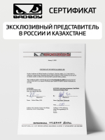Рашгард Bad Boy Bandit