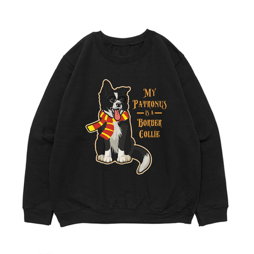 Свитшот "Колли - волшебник"