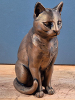 Европейская короткошерстная кошка