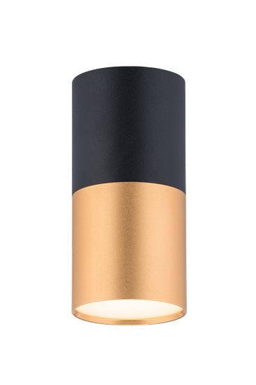 1225CN SBK+SGD (1/30) Светильник (RL)