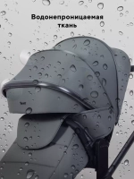 Коляска 2 в 1 Rant Falcon Soft Therm