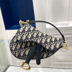 Christian Dior Saddle Bag 21 cm