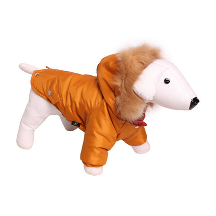 Lion Winter Зимняя куртка для собак парка LP068