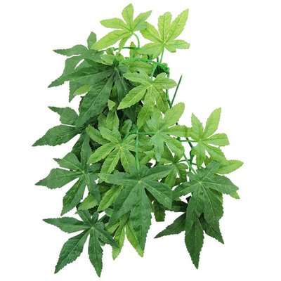 ReptiZoo Абутилон 30 см - растение террариумное TP003-12