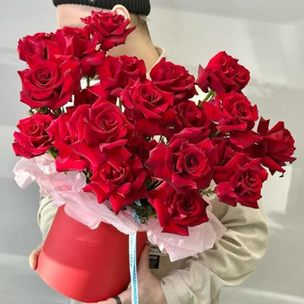 «Целестина» 25 красных фразцузских роз Эксплорер в шляпной коробке