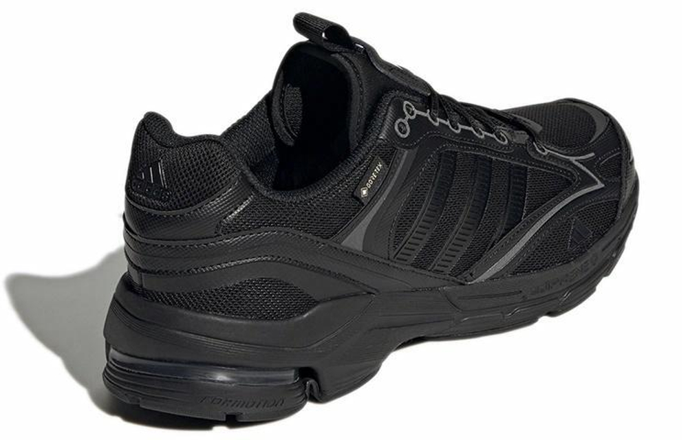Кроссовки Adidas Spiritain 2000 Gtx