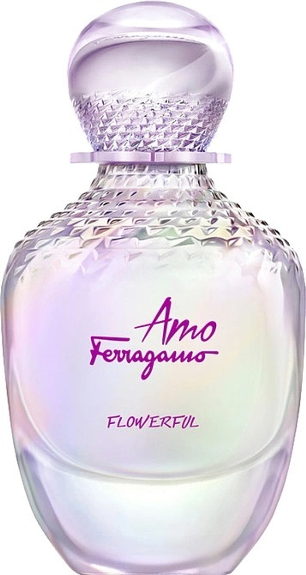 Salvatore Ferragamo Amo Flowerful