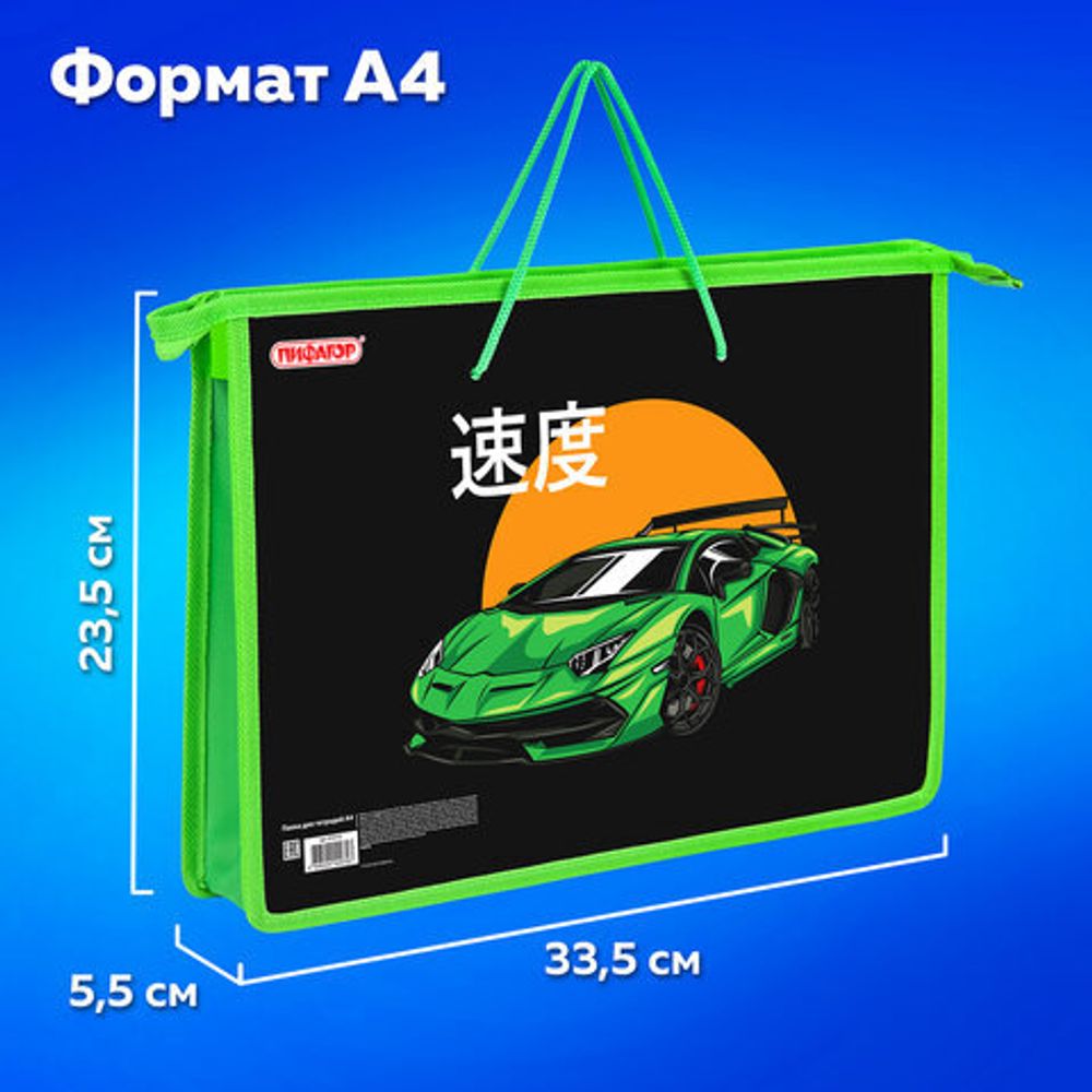 Папка на молнии с ручками ПИФАГОР А4, 1 отделение, пластик, ручки-шнурок, "Dive into drive", 272112