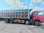 Shacman (Shaanxi) SX* 8x4 Самосвал SX331864366C (Дизельный, 13,0 л, 549 л.с., МТ)
