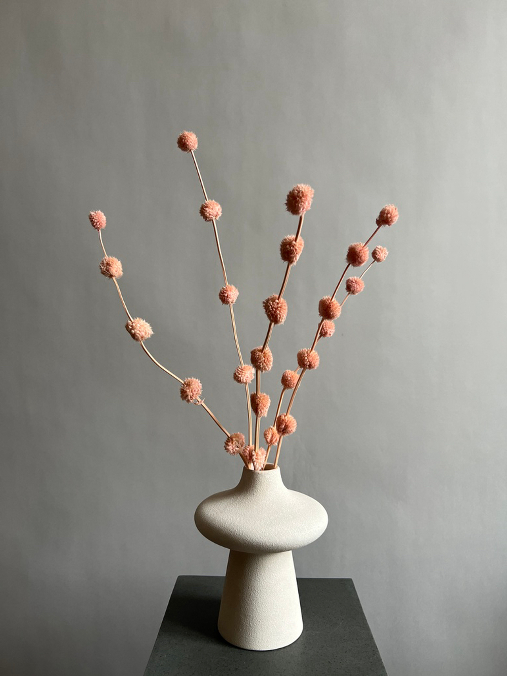 Гомфрена шаровидная стабилизированная розовая