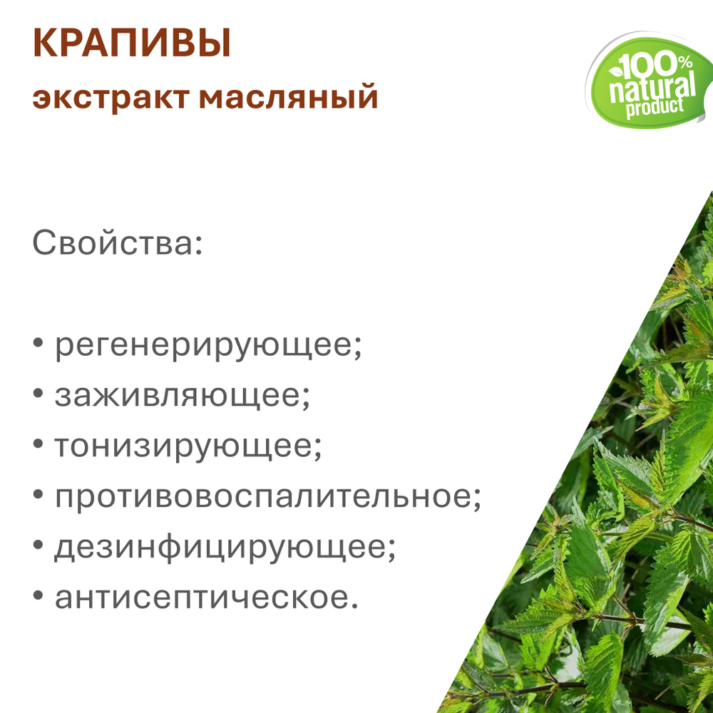 Экстракт крапивы, масляный