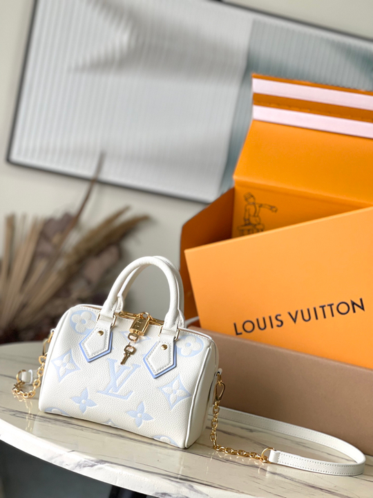 Louis Vuitton Speedy 20