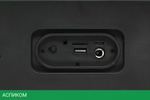 Портативная колонка Defender Boomer 20 (65820)