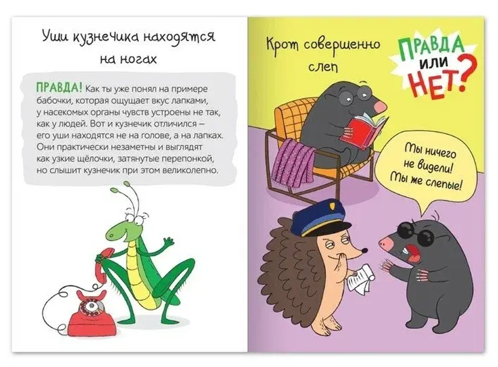 Обучающая книга «Правда или нет? Мир животных»